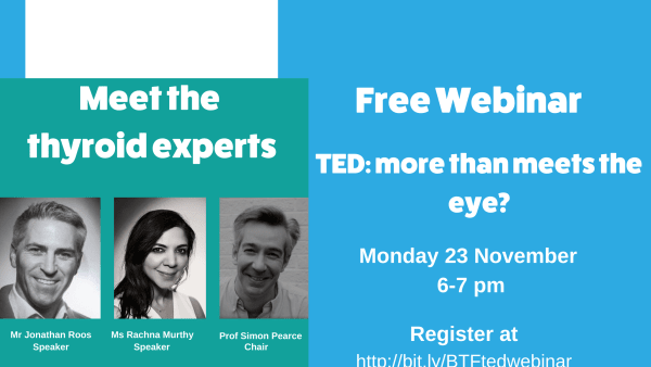 Meet the TED experts webinar - November 2020